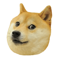 1687-doge
