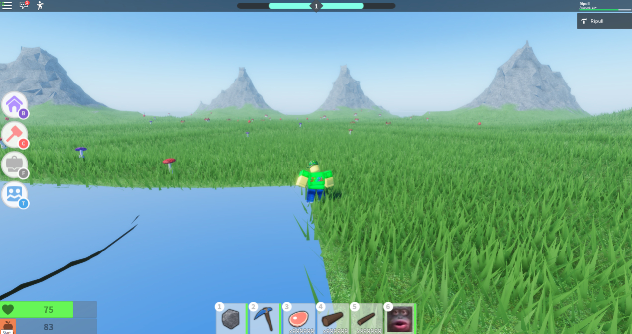 Terrain Viewport culling with StreamingEnabled on - Engine Bugs ...