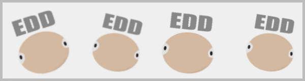 EddFlat