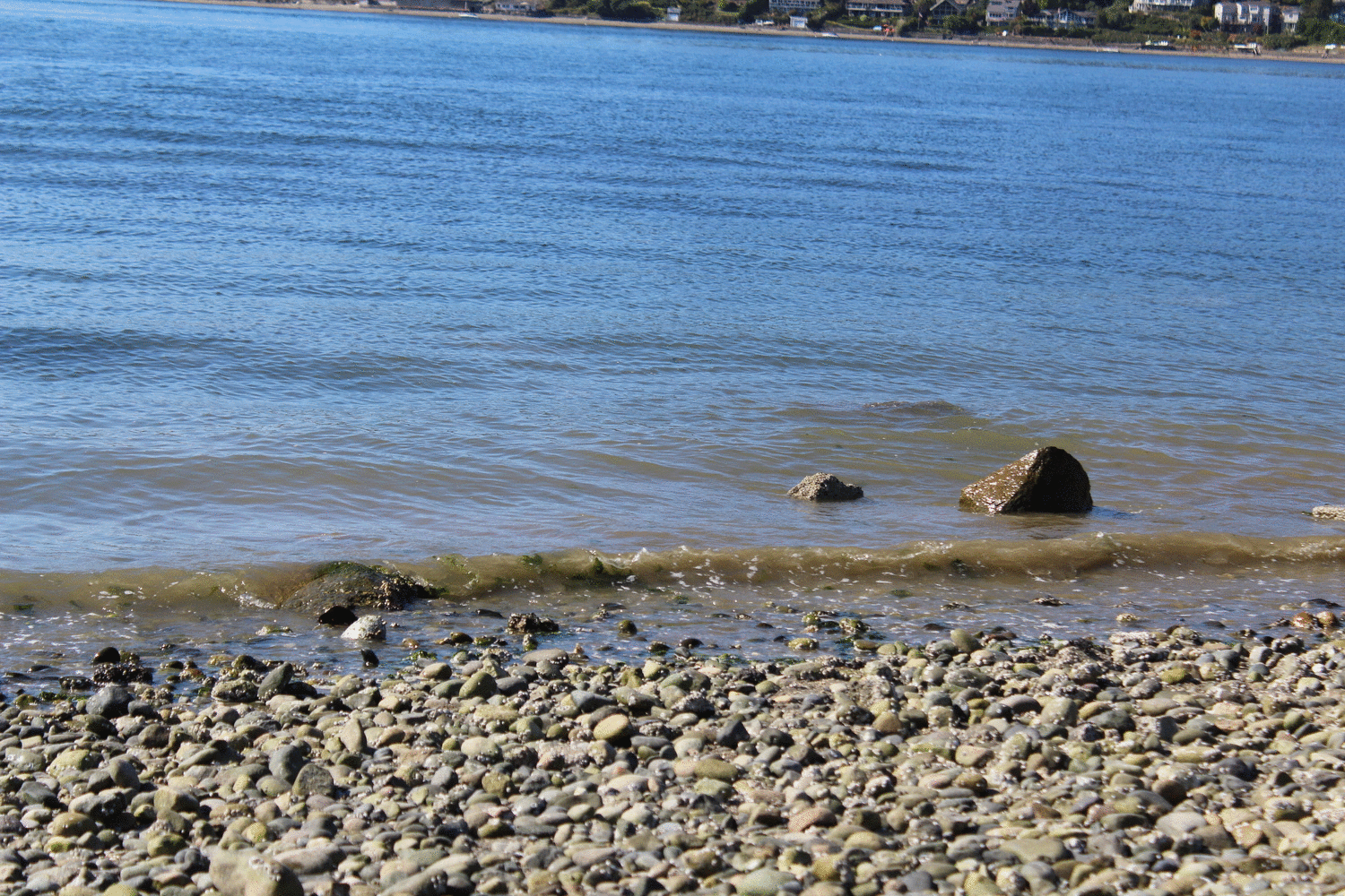 Waves_at_the_Fox_Island_boat_launch_animated
