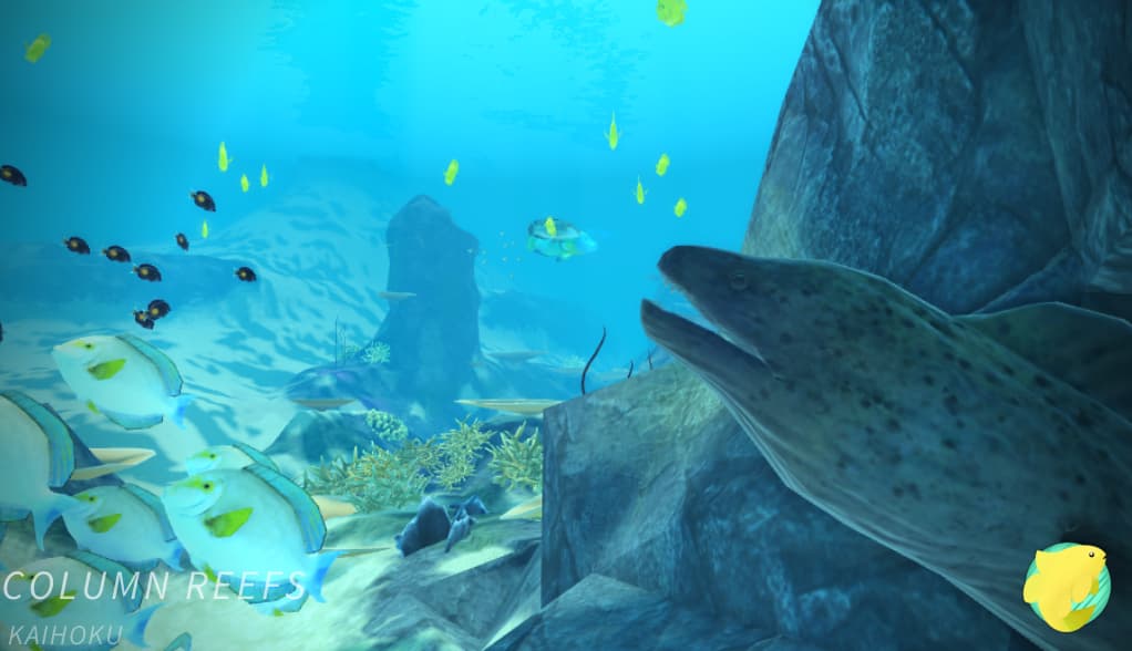 Copy_of_Copy_of_Copy_of_The_Column_Reefs