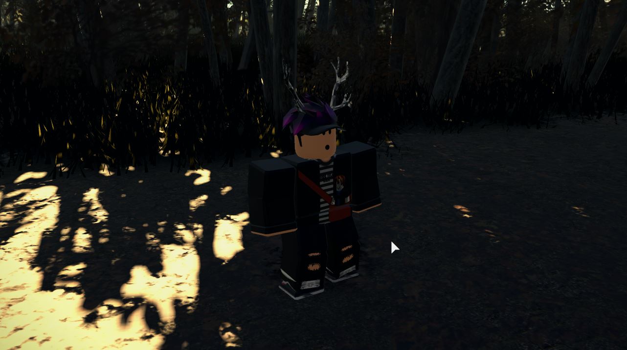 Summer Forest Graphics