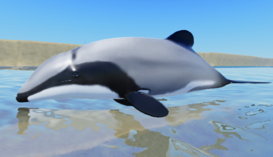 3D Dolphin models - Creations Feedback - Developer Forum | Roblox
