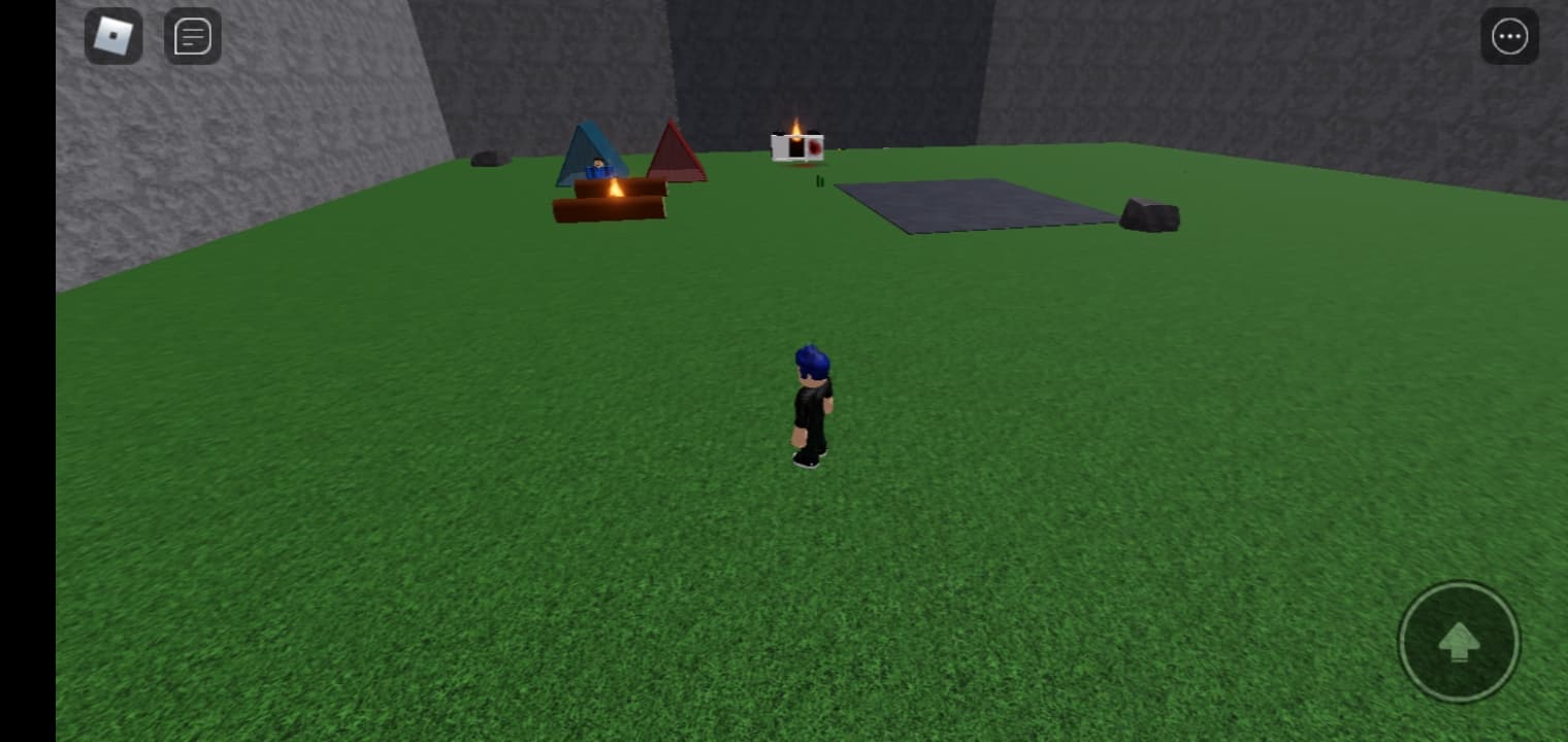 Screenshot_20211205-103153_Roblox