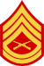 gsgt