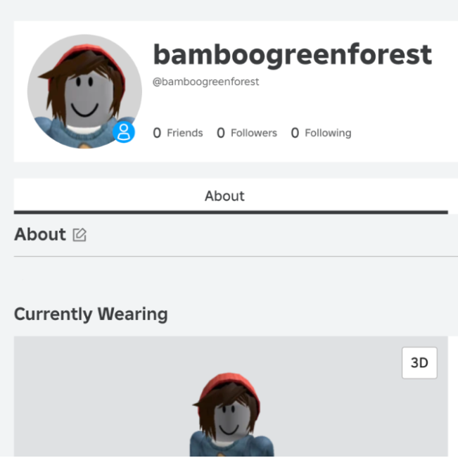 Previous Usernames No Longer Show On Profiles - Roblox Application and