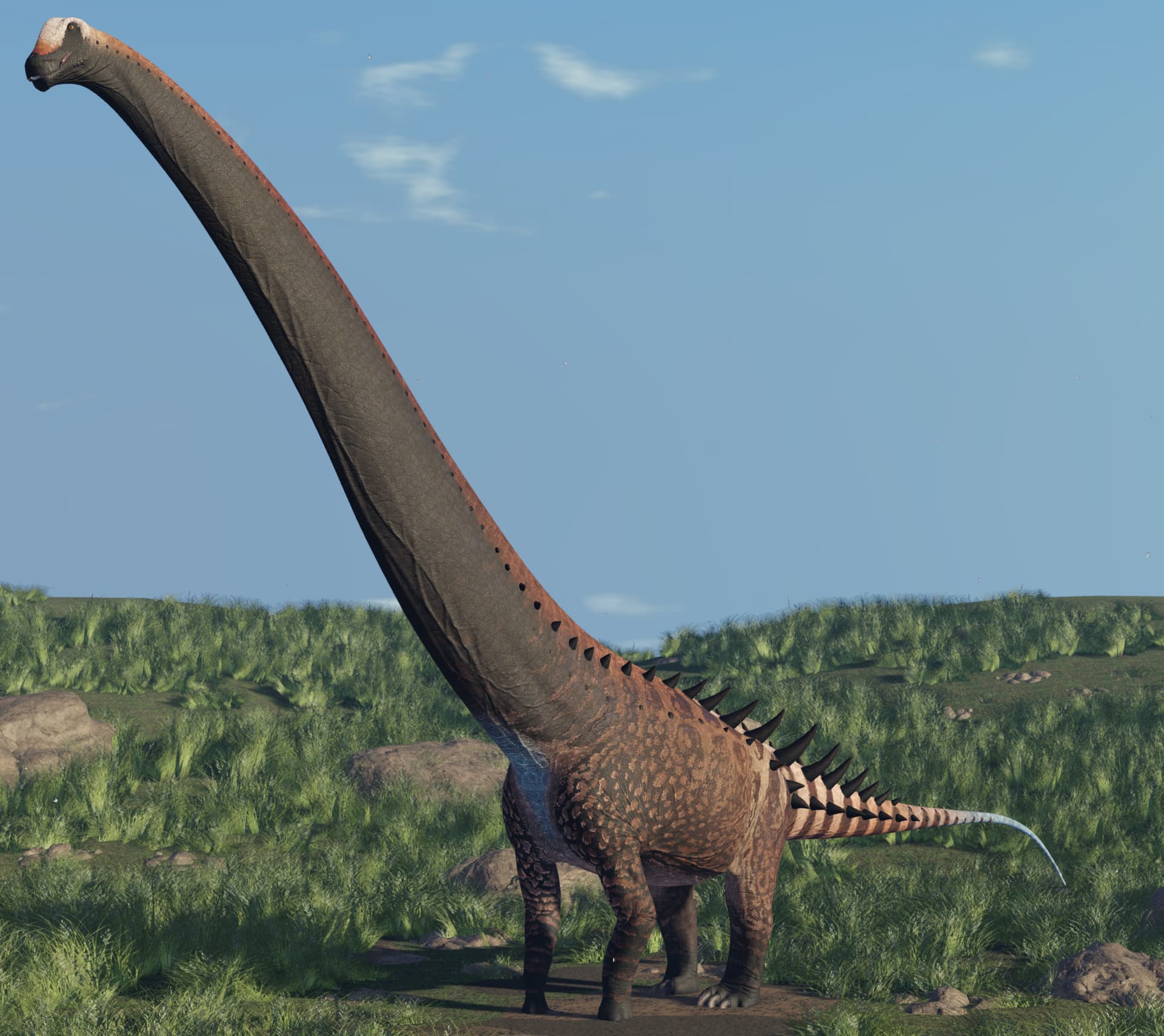 PBR texture loading failure. - Engine Bugs - Developer Forum | Roblox