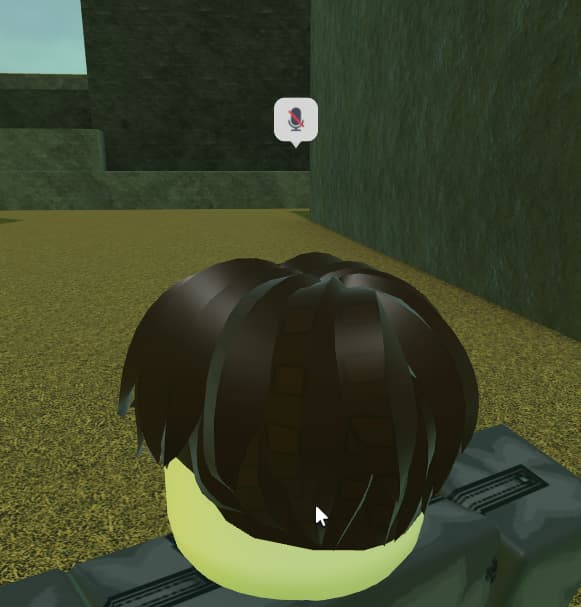 RobloxPlayerBeta_XaduJPHy2W