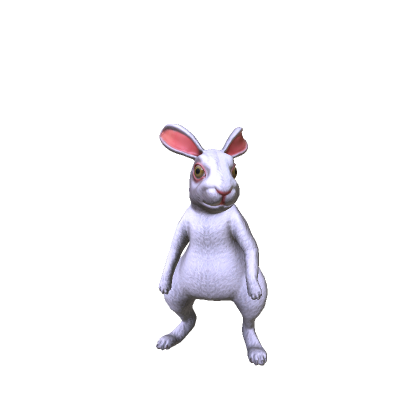 Catalog Recommendations Aren’t Updating - Catalog Asset Bugs ...