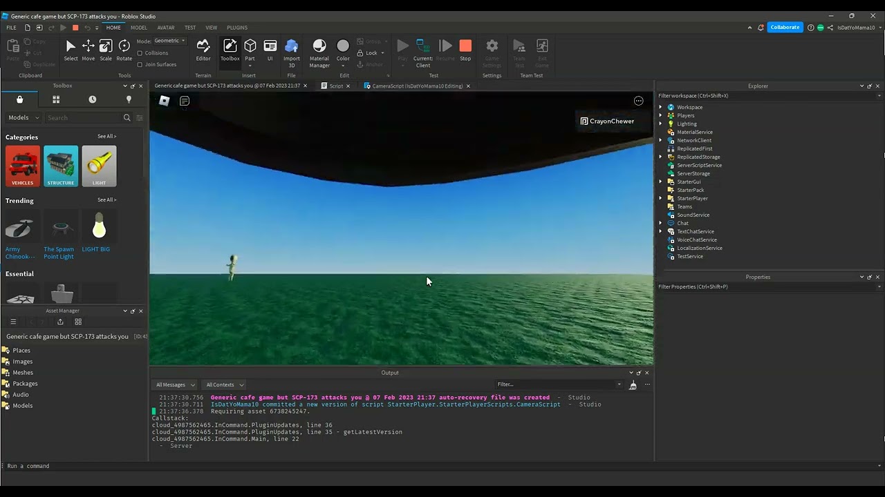 Weird first person camera behaviour in custom script? - Scripting ...