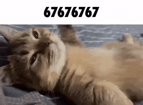 twitter-gif-2030778539243418051_69ae649e00bd7