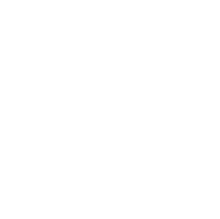 collectible icon