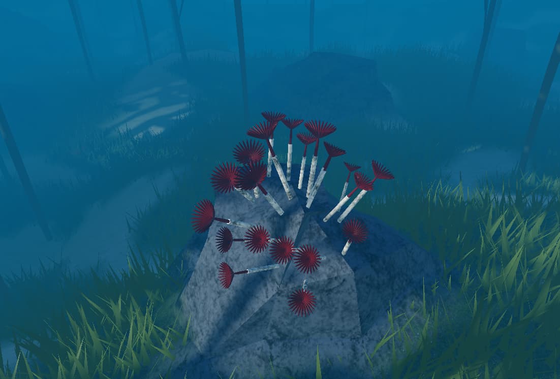 Feather-duster worms