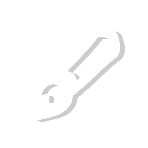 Customize Icon